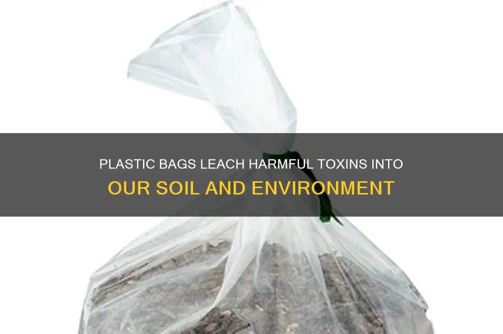 how plastic bags puts toxins in ground