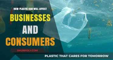 Navigating the Impact of Plastic Bans on Businesses and Consumers