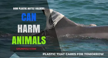 Plastic Bottle Holders: Unseen Dangers to Wildlife and Ecosystems