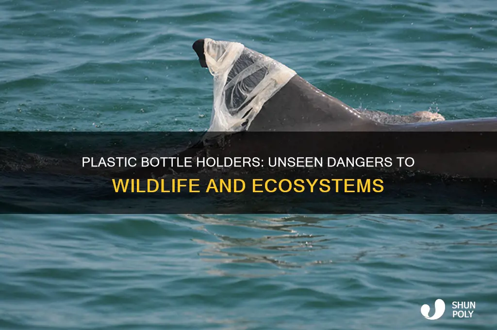 how plastic bottle holders can harm animals