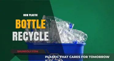 Sustainable Steps: How to Recycle Plastic Bottles Effectively