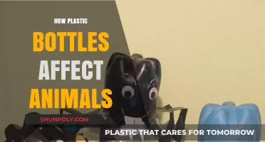 Plastic Bottles' Deadly Impact: How They Harm Animals Worldwide