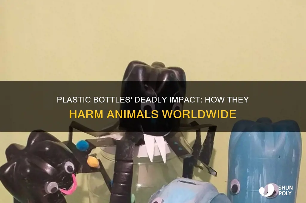 how plastic bottles affect animals