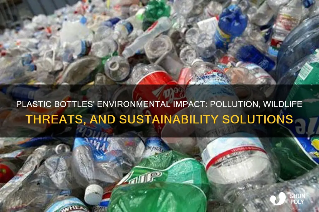 how plastic bottles affect our environment