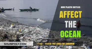 Plastic Bottles in the Ocean: Devastating Impacts and Urgent Solutions
