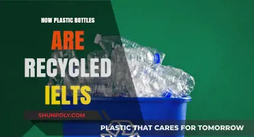 Recycling Plastic Bottles: A Step-by-Step IELTS Guide to the Process