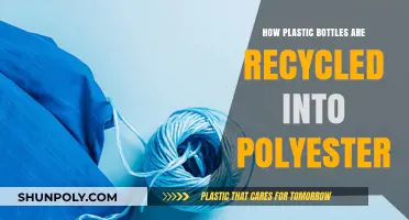From Waste to Wear: Recycling Plastic Bottles into Polyester