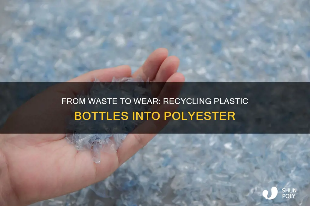 how plastic bottles are recycled into polyester