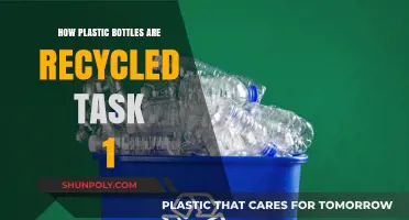 The Journey of Plastic Bottles: From Waste to Recycled Materials