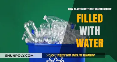 From Recycling to Refilling: The Journey of Plastic Bottles Before Water