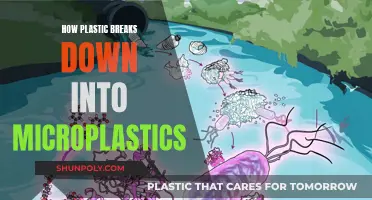 Plastic's Micro Journey: The Breakdown of Plastic Over Time