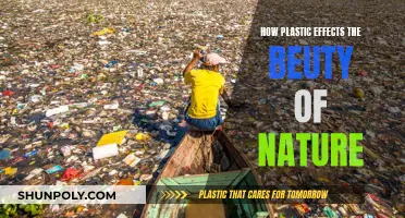 Plastic Pollution: Nature's Beauty Under Threat
