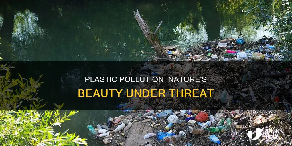 how plastic effects the beuty of nature