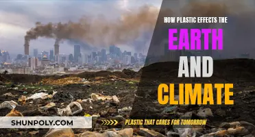 Plastic Pollution: Climate Change's Overlooked Crisis