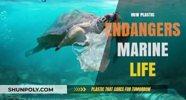 The Silent Threat: How Plastic Pollution Harms Marine Ecosystems
