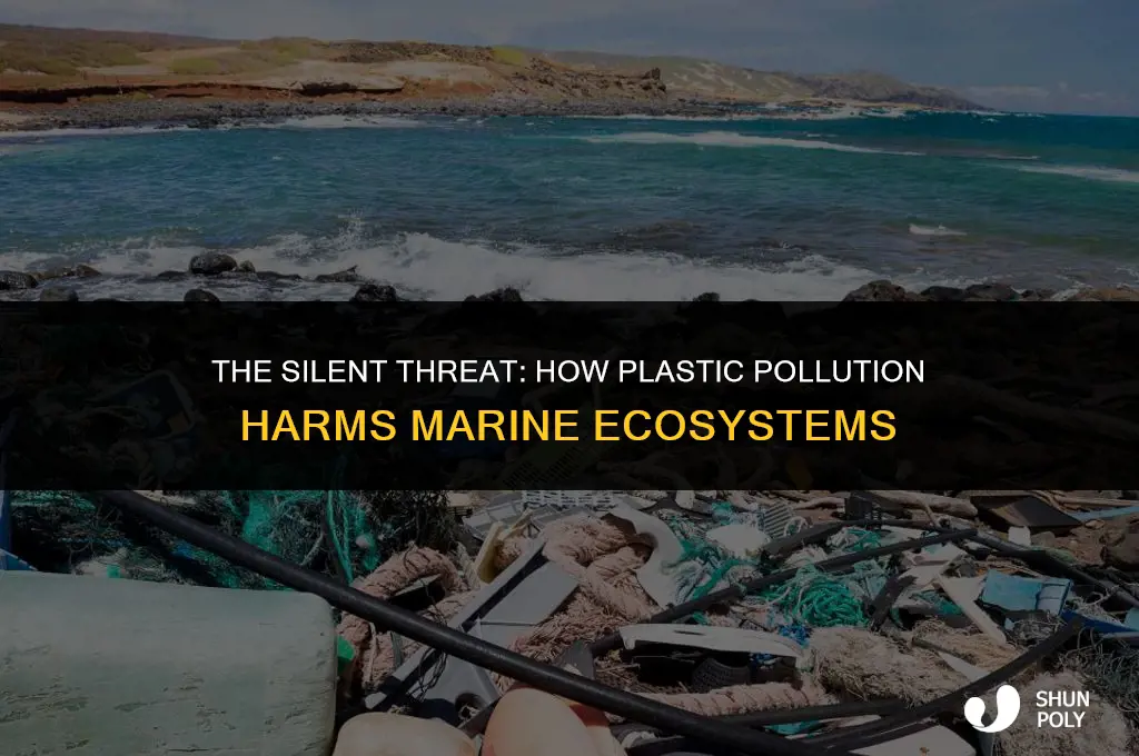 how plastic endangers marine life