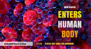 The Invisible Intruder: How Plastic Enters and Affects the Human Body