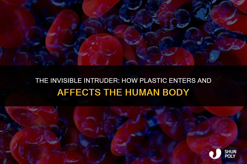 how plastic enters human body