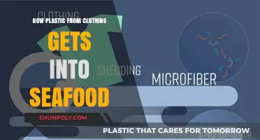 From Wardrobe to Water: How Clothing Plastics Contaminate Our Seafood