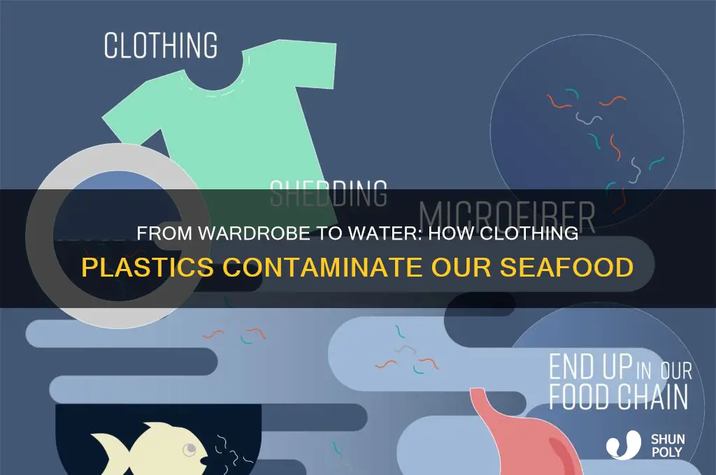 how plastic from clothing gets into seafood