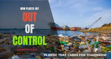 Plastic's Ubiquity: A Story of Human Mismanagement
