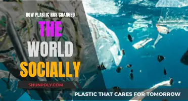 Plastic's Social Impact: A World Transformed