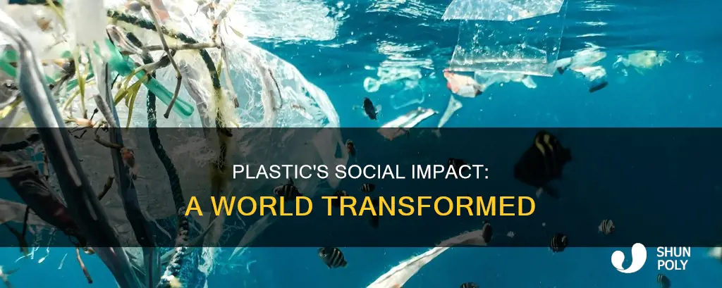 how plastic has changed the world socially