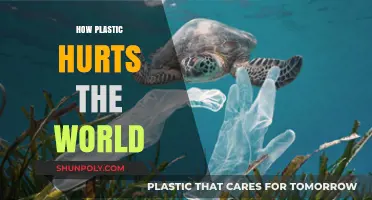 The Hidden Menace: How Plastic Pollution Threatens Our Planet