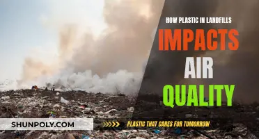 Plastic Pollution: Landfills, Air Quality, and Health Risks