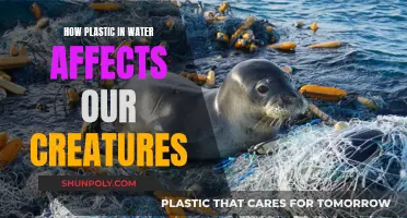 Plastic Pollution: A Deadly Threat to Aquatic Life