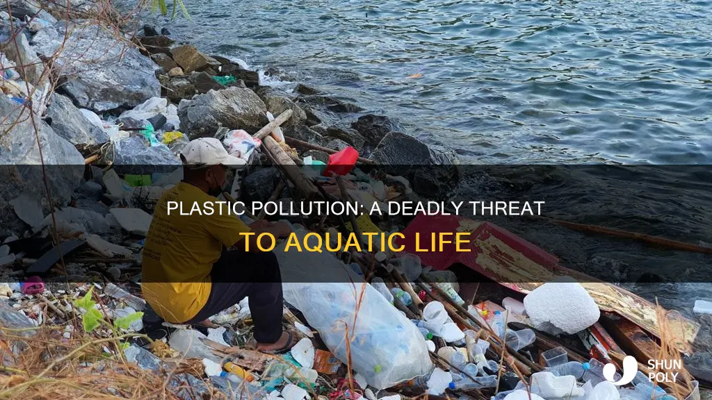 how plastic in water affects our creatures
