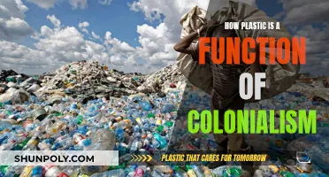 Plastic's Colonial Legacy: A Historical Perspective