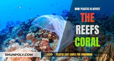 Plastic's Impact: Our Reefs Are Suffocating
