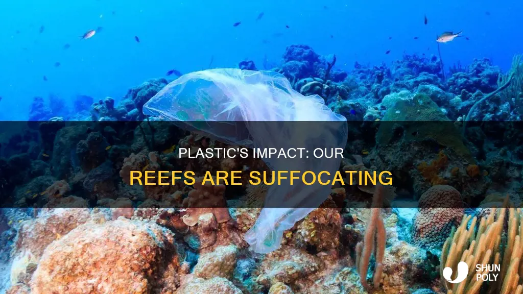 how plastic is affect the reefs coral