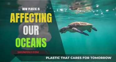 Plastic's Impact: Our Oceans in Danger
