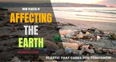 Plastic's Impact: Devastating Effects on Our Planet