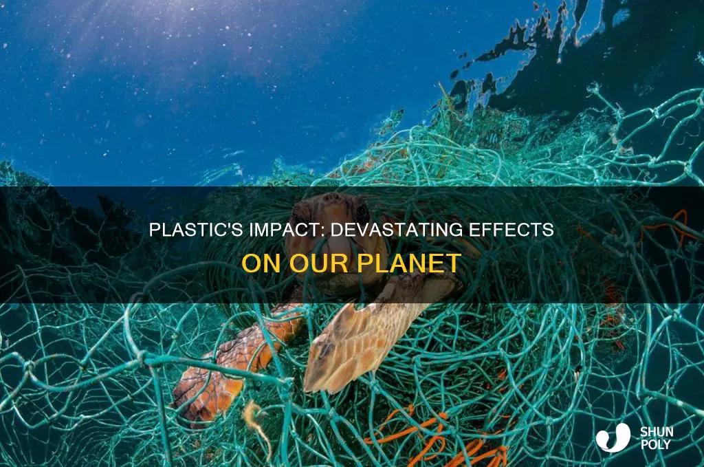 how plastic is affecting the earth