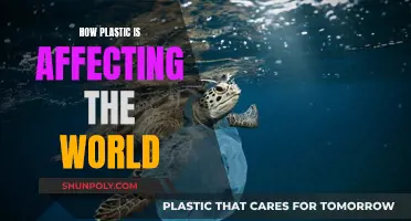 Plastic's Global Impact: A World Choking on Waste