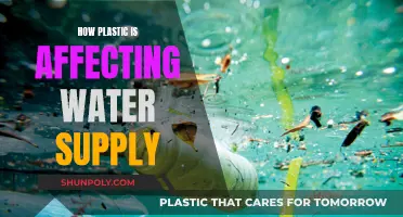 Plastic Pollution: A Threat to Our Water Supply