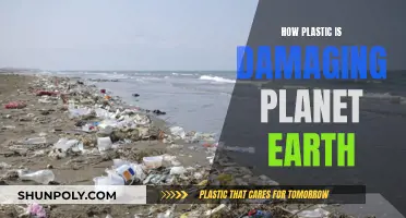 Plastic Pollution: Damaging Our Planet, Our Future