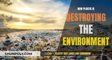 Plastic's Environmental Impact: A Toxic Legacy