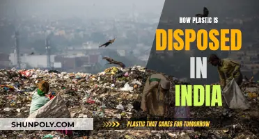 India's Plastic Disposal Crisis: An Environmental Catastrophe