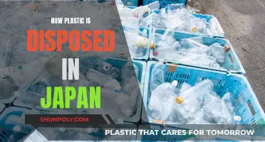 Japan's Plastic Disposal: An Environmental Concern