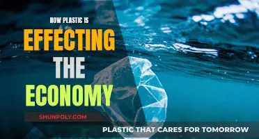 Plastic's Economic Impact: A Costly Environmental Concern