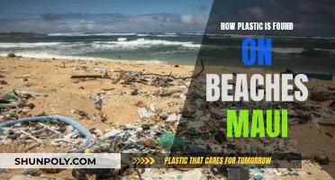 Maui's Beaches: Plastic Pollution Crisis