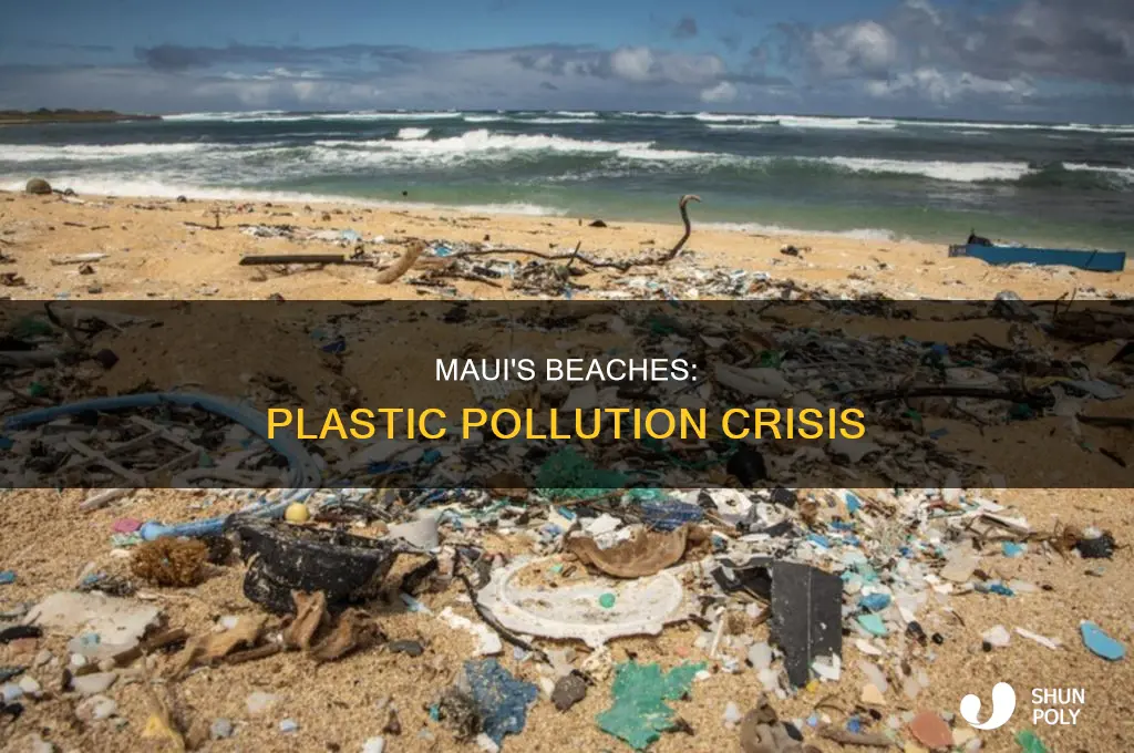 how plastic is found on beaches maui