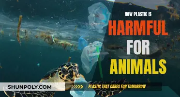 Plastic's Impact: Animals in Danger
