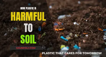 Plastic Pollution: Soil's Slow Poisoning