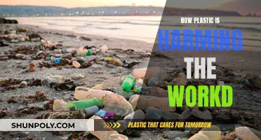 Plastic Pollution: Harming Our World