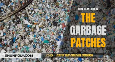 Plastic Pollution: The Garbage Patches' Plight